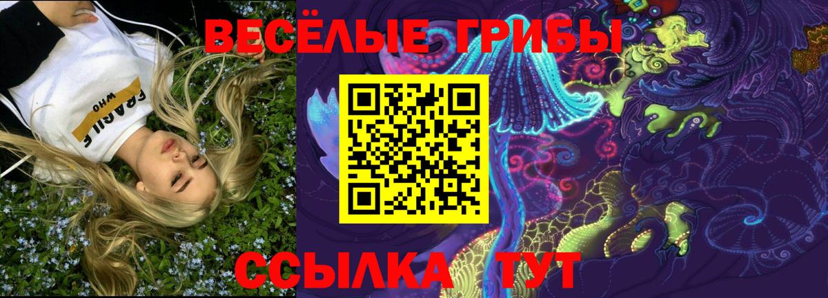 Псилоцибиновые грибы ЛСД Орёл