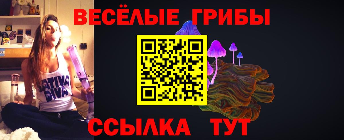 Орёл  Псилоцибиновые грибы Psilocybine cubensis  Вход с VPN 